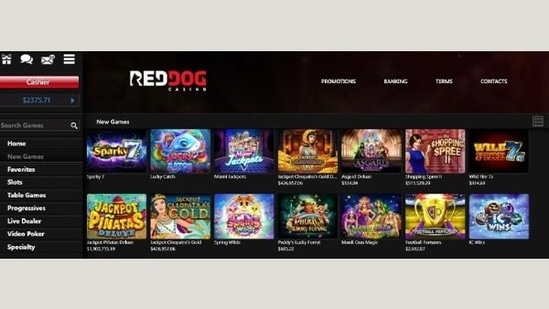 casino Grand Reef reviews