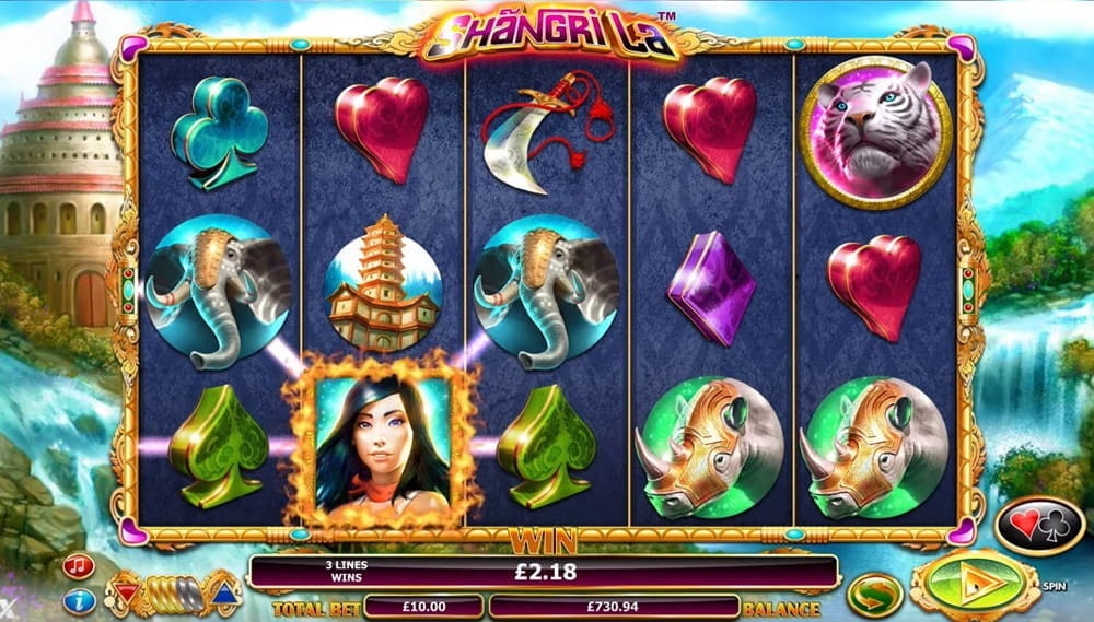 casino leo vegas bonus codes 2024