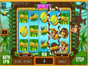 online casino with no deposit bonus