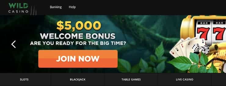 the best online casino games