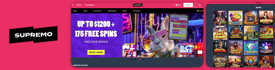 thief slot free spins