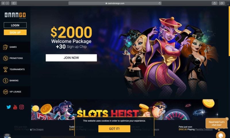 players paradise casino