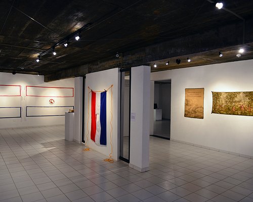 pokie pixies in the forest