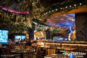 9 lions 80 free spins